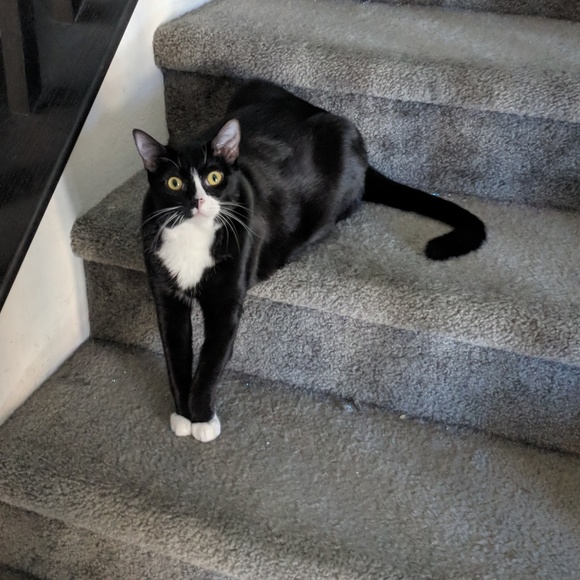 Meet your Posher, Tracy - Picture 2 of 3